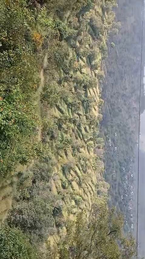 अल्मोड़ा, उत्तराखंड में 140 नाली भूमि बिक्री हेतु उपलब्ध